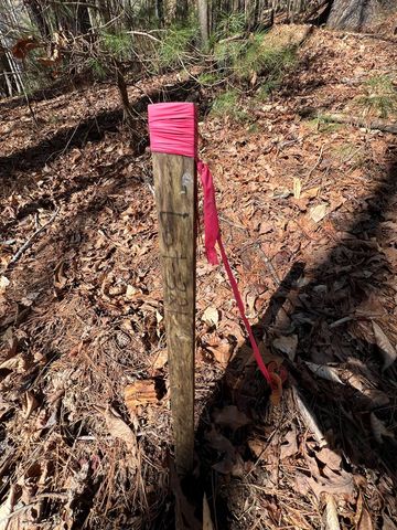 18 Lily Lane, Ellijay, GA 30540