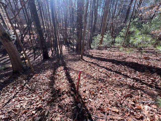 18 Lily Lane, Ellijay, GA 30540