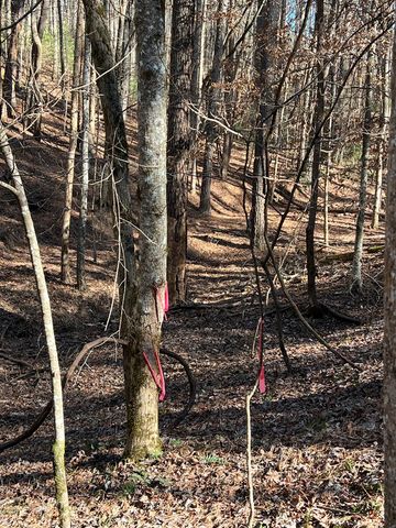 18 Lily Lane, Ellijay, GA 30540