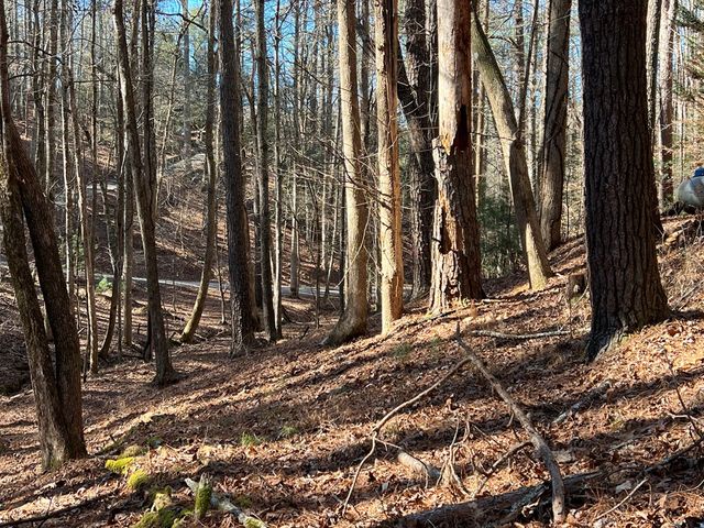 18 Lily Lane, Ellijay, GA 30540