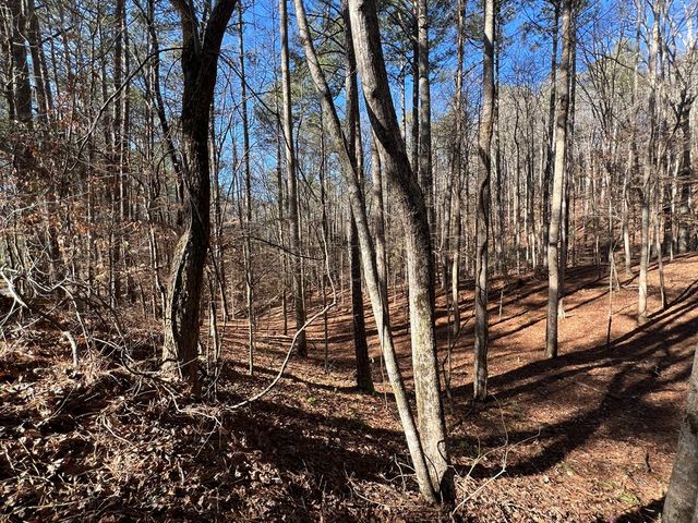 18 Lily Lane, Ellijay, GA 30540