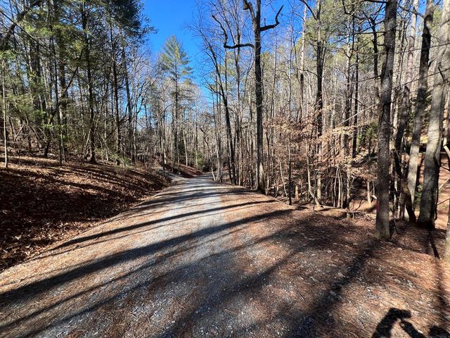 18 Lily Lane, Ellijay, GA 30540