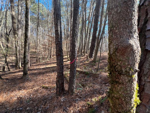 18 Lily Lane, Ellijay, GA 30540