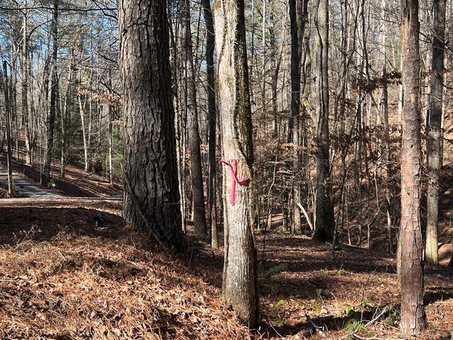 18 Lily Lane, Ellijay, GA 30540