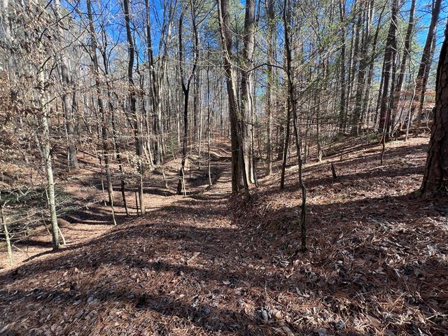 18 Lily Lane, Ellijay, GA 30540