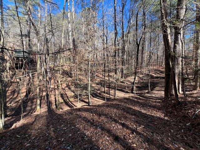 18 Lily Lane, Ellijay, GA 30540