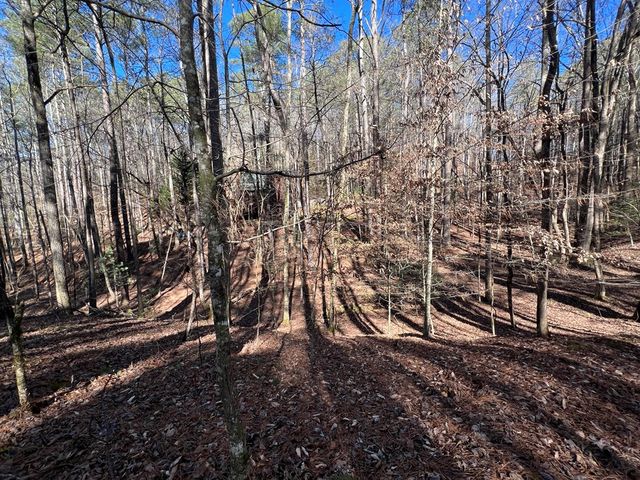 18 Lily Lane, Ellijay, GA 30540