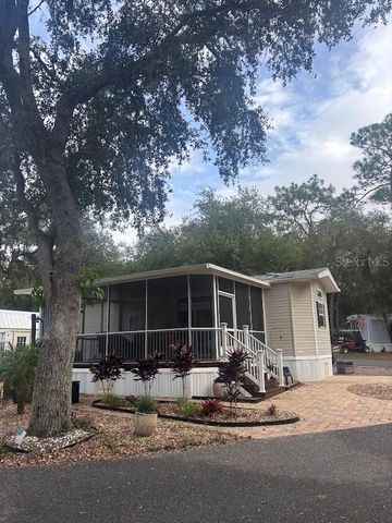 25235 NE 143RD PLACE 145, Salt Springs, FL 32134