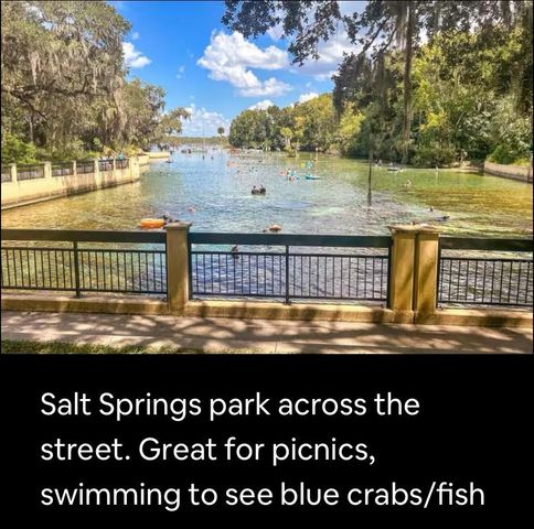 25235 NE 143RD PLACE 145, Salt Springs, FL 32134