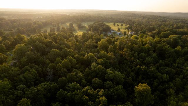 000 Missouri 19, Alton, MO 65606