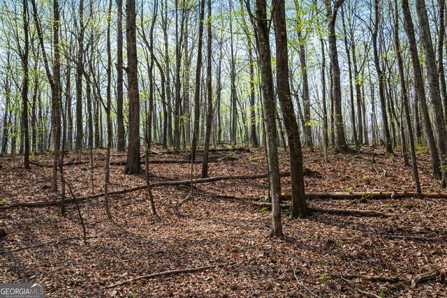 2345 Stonepile Road LOT 1, Clarkesville, GA 30523