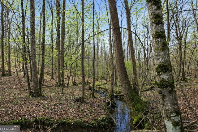 2345 Stonepile Road LOT 1, Clarkesville, GA 30523