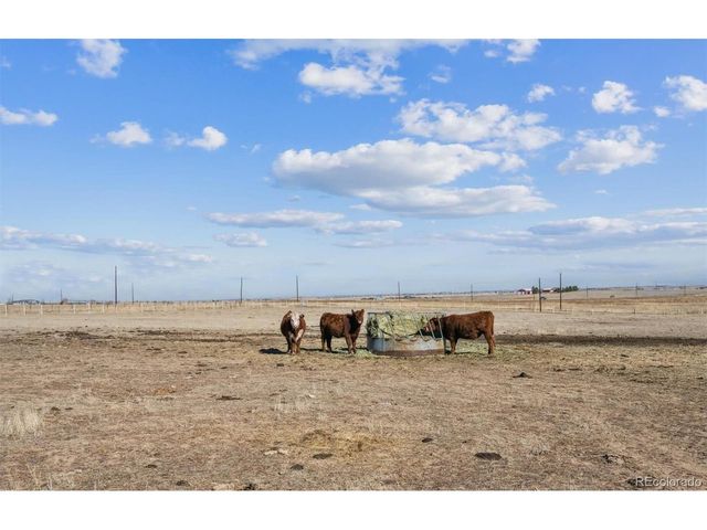 43251 E Iliff Trl, Bennett, CO 80102