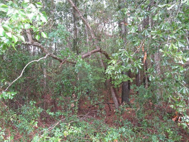 Lot 9 Stevens Forest, New Caney, TX 77357