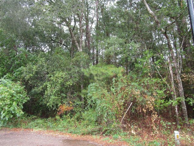 Lot 9 Stevens Forest, New Caney, TX 77357