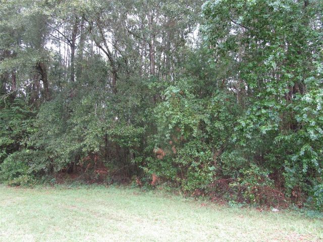 Lot 9 Stevens Forest, New Caney, TX 77357