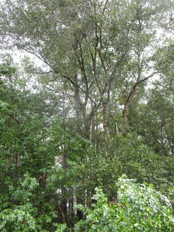 Lot 9 Stevens Forest, New Caney, TX 77357
