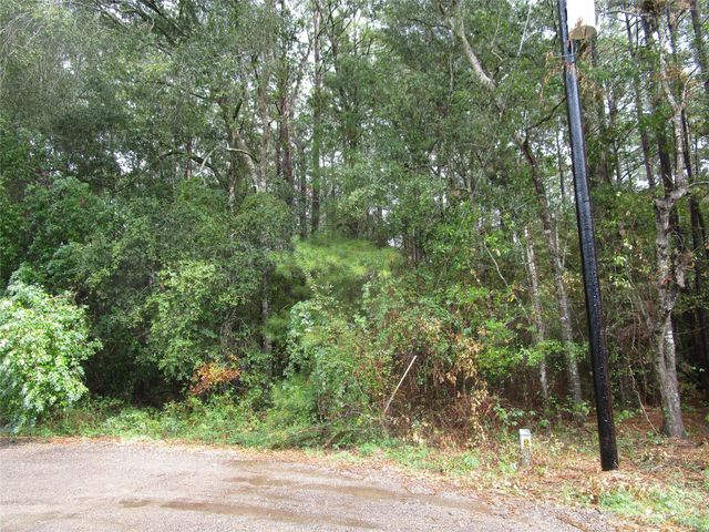 Lot 9 Stevens Forest, New Caney, TX 77357