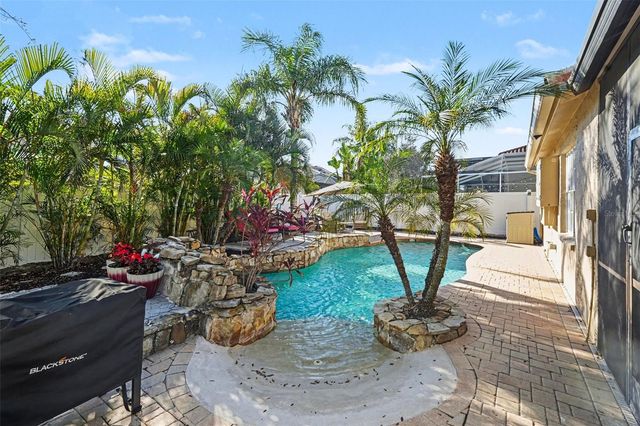 10618 HATTERAS DRIVE, Tampa, FL 33615