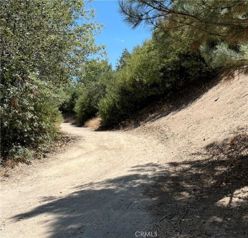 0 Hill, Cedar Glen, CA 92321