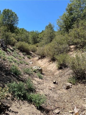 0 Hill, Cedar Glen, CA 92321