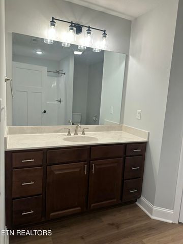 766 Snowfllower Circle Circle, Pigeon Forge, TN 37863