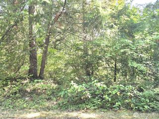 21815 Beachside Drive SE, Yelm, WA 98597