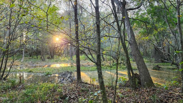 452 Brodie Rose Landing Way, Smithfield, NC 27577