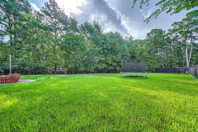 17 Leandro Court, Montgomery, TX 77356