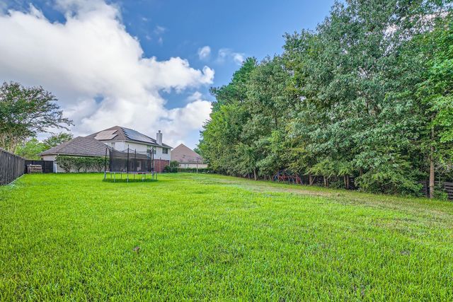 17 Leandro Court, Montgomery, TX 77356