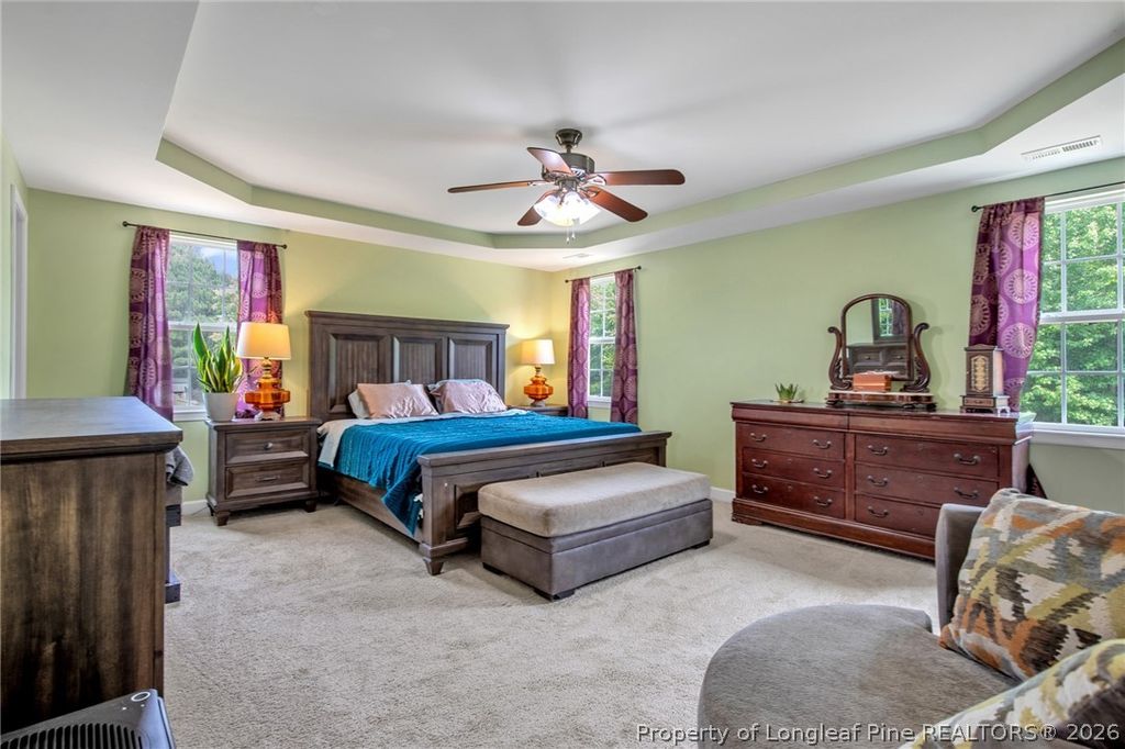 141 Rainmaker Street, Linden, NC 28356 — photo 18