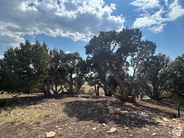 46247 W BANDANNA DR, Fruitland, UT 84027