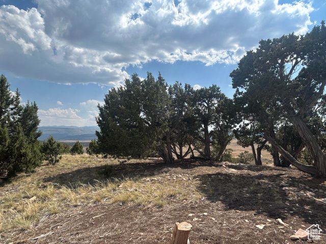 46247 W BANDANNA DR, Fruitland, UT 84027