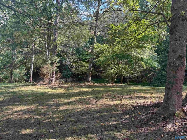 94 County Road 836, Gaylesville, AL 35960