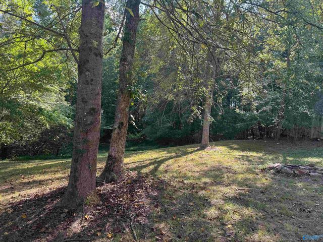 94 County Road 836, Gaylesville, AL 35960