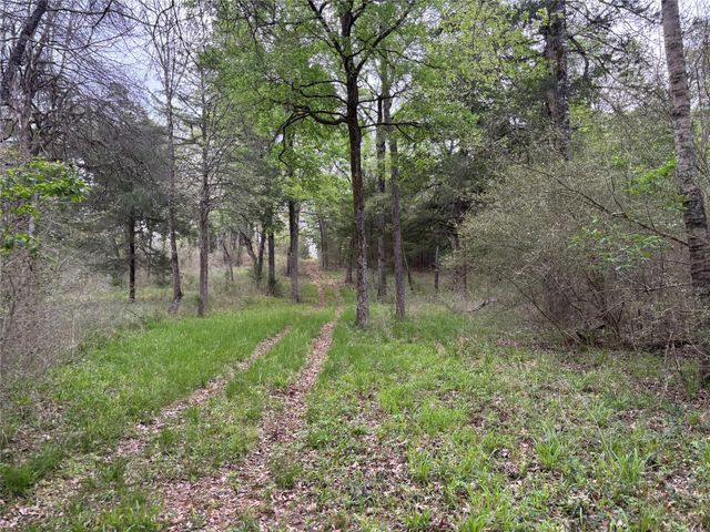 7663 State Highway 7 W, Jewett, TX 75846