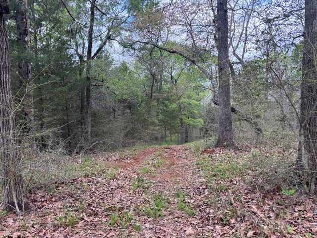7663 State Highway 7 W, Jewett, TX 75846