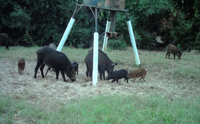 7663 State Highway 7 W, Jewett, TX 75846