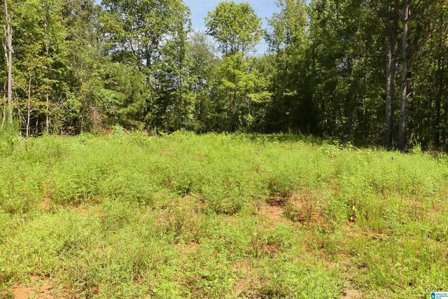 LOT 33 RIVER BREEZE, Wedowee, AL 36278
