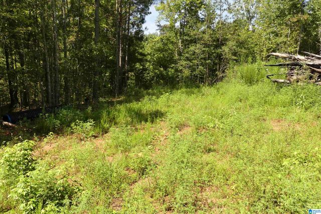 LOT 33 RIVER BREEZE, Wedowee, AL 36278