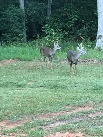 525 Shirley Store Road, Anderson, SC 29621