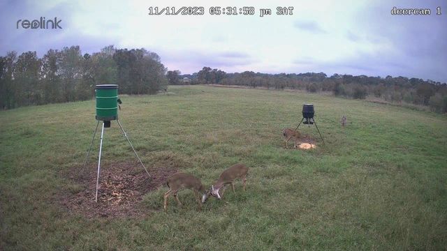 0 Korthauer Road, Bellville, TX 77418