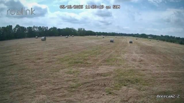 0 Korthauer Road, Bellville, TX 77418