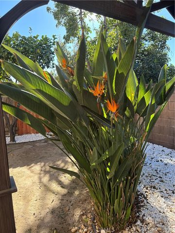 9213 Independence Way, North Hills, CA 91343