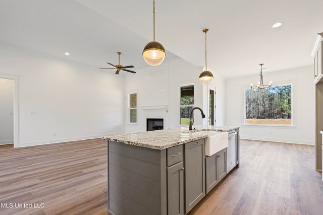 5064 Sophia Lane, Hernando, MS 38632