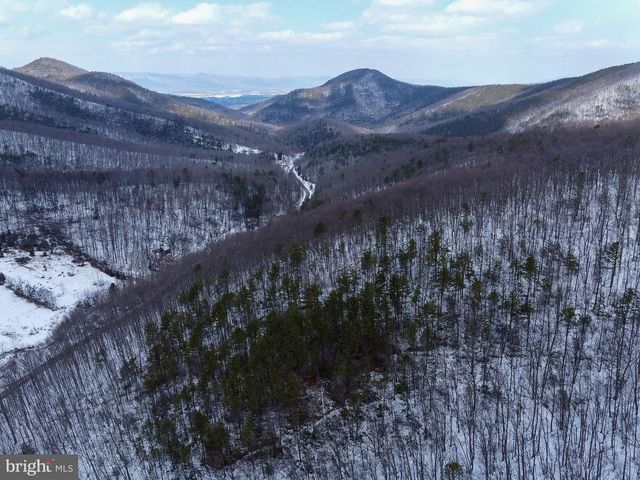 CUBBAGE HOLLOW RD, LOT 75 - 40.55 ACRES, Stanley, VA 22851