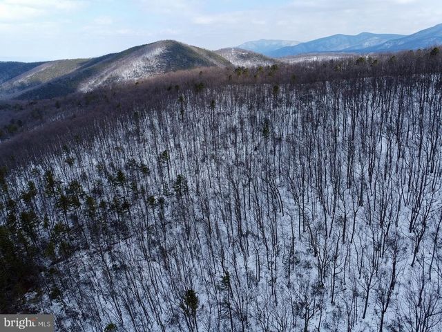 CUBBAGE HOLLOW RD, LOT 75 - 40.55 ACRES, Stanley, VA 22851