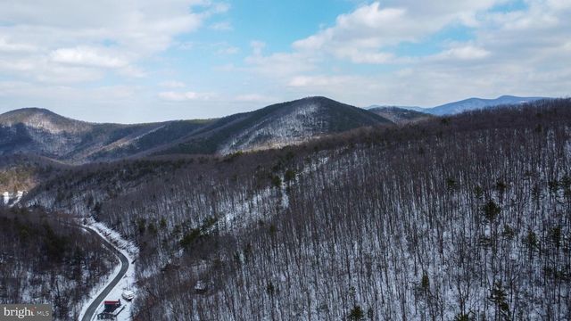 CUBBAGE HOLLOW RD, LOT 75 - 40.55 ACRES, Stanley, VA 22851