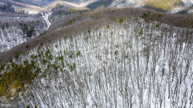 CUBBAGE HOLLOW RD, LOT 75 - 40.55 ACRES, Stanley, VA 22851