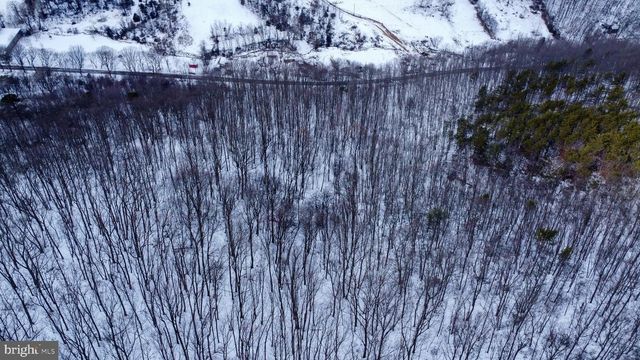 CUBBAGE HOLLOW RD, LOT 75 - 40.55 ACRES, Stanley, VA 22851